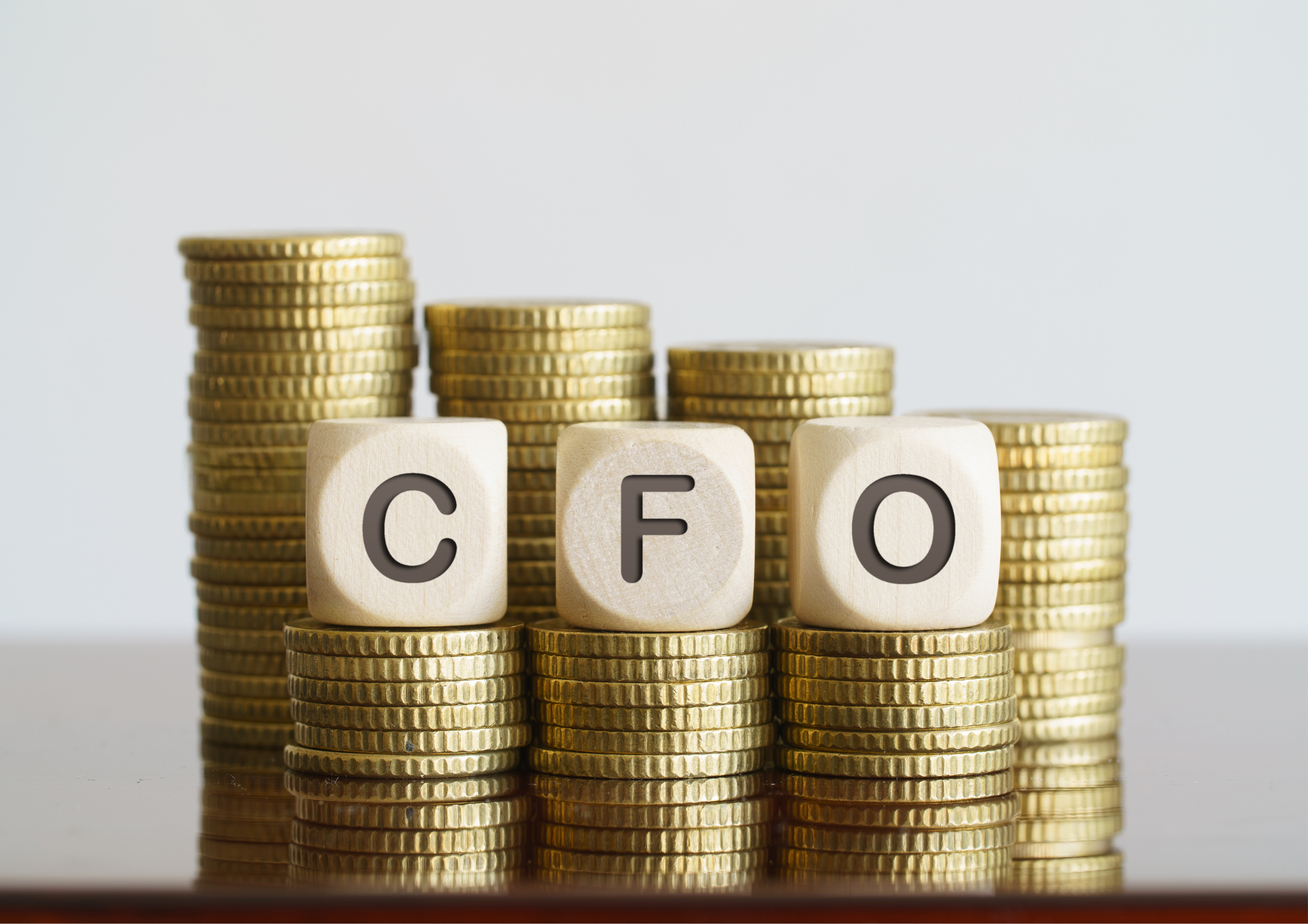How a outsourced CFO Service Provider Drives 30% Higher Profits